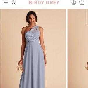 Birdy Grey Chiffon Kira Dusty Blue Dress